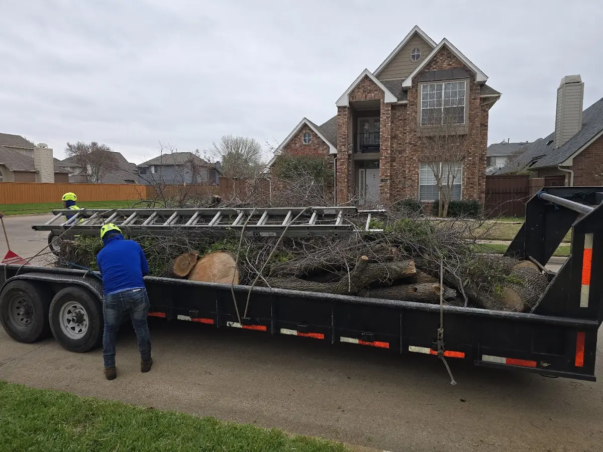 Expert Crown Reduction with proper safety equipment in Fredericksburg